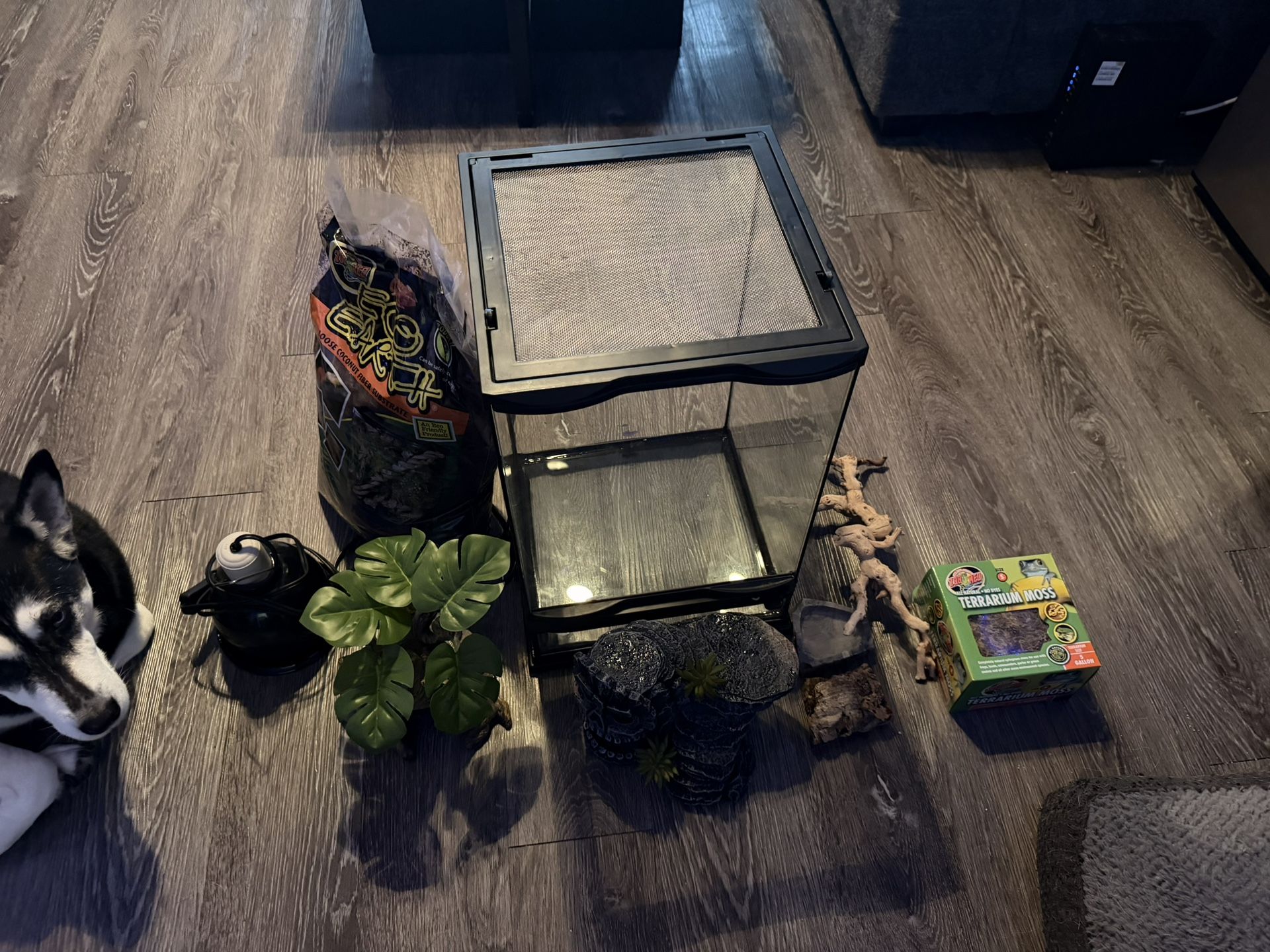 reptile terrarium set up 
