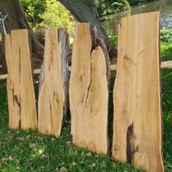 light colored lebanese cedar live edge wood slabs 50" x 16-20" W x abt 2" thick $44 ea board