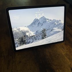 iPad Air (64 Gig)  4th Gen