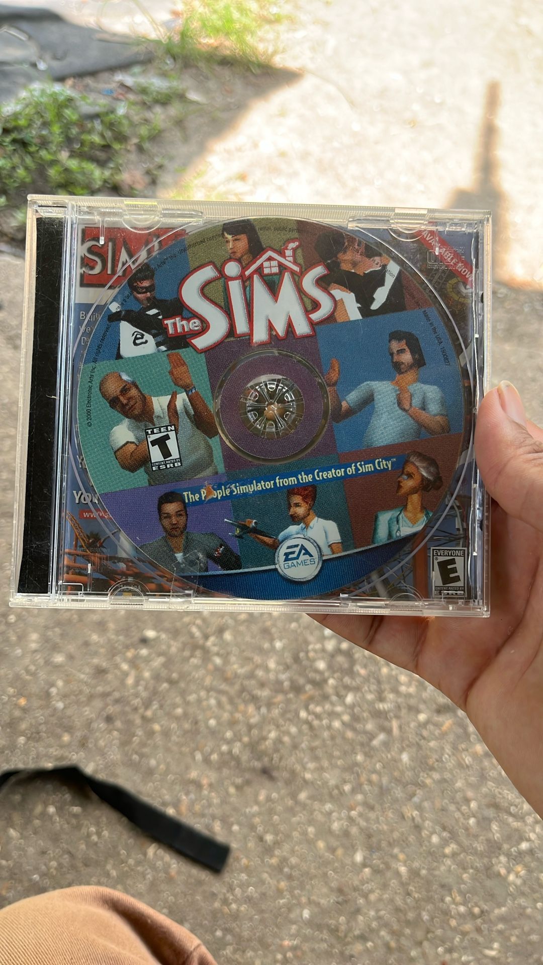 The Sims