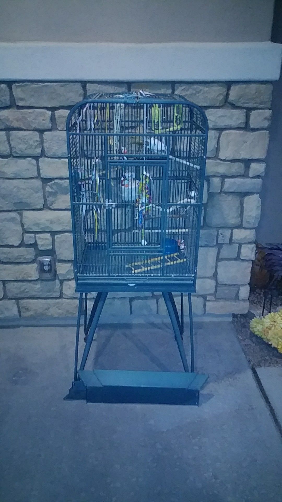Bird cage and bird toys