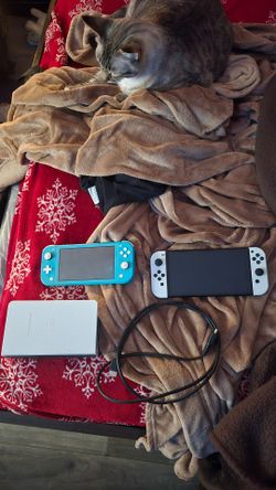 Nintendo switch oled and lite bundle