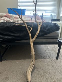 Big wood branch for reptile or fish tank