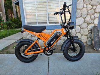 Electric Bike