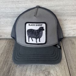 Goorin Bros SNAPBACK Hat🧢