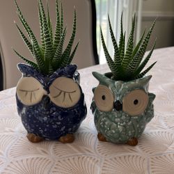 Decorative Ceramic Owls