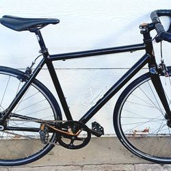 Fixie bike with carbon fork