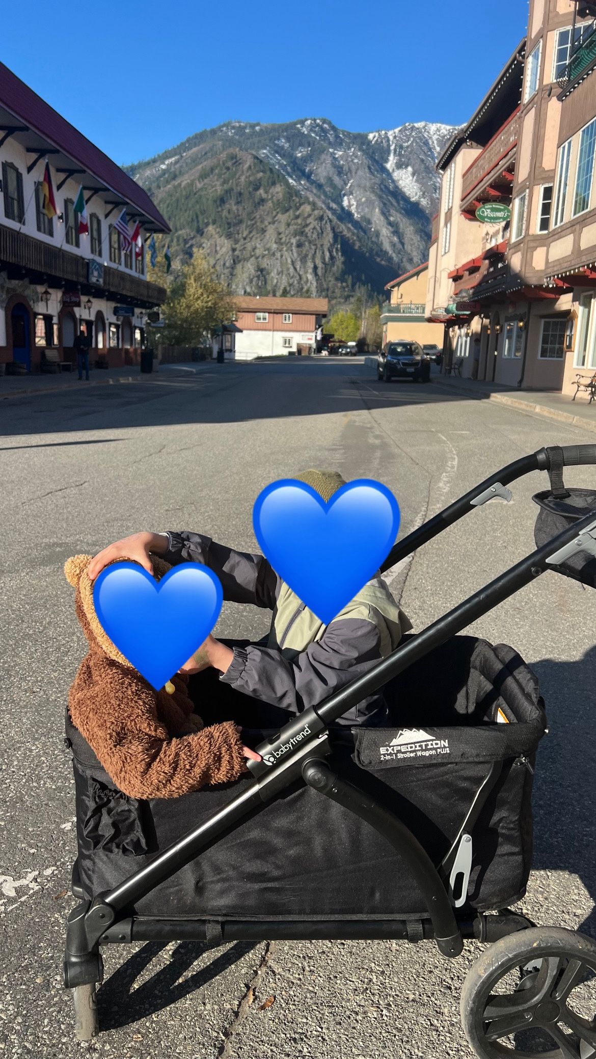 Stroller Wagon