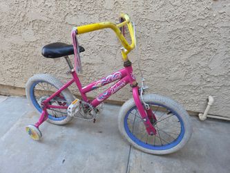 16"training wheel