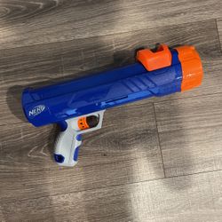 Nerf Dog 
