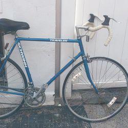 Schwinn Traveler Bike Made In The 70's