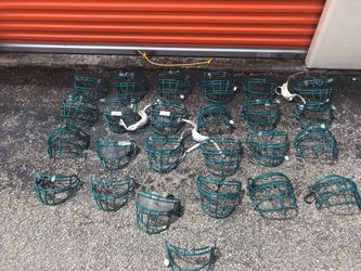 Dolphins Face Mask Collectables