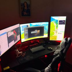 Whole Gaming Setup 
