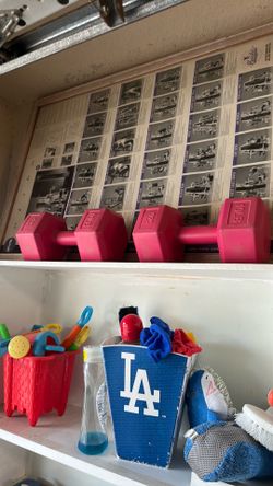 10lb Weights