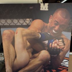 UFC Gorges St-Pierre submission 