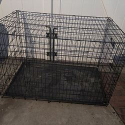 Spacious 2-Door Dog Crate