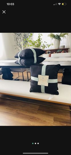 Black Outdoor Indoor Pillow Set Of 4 