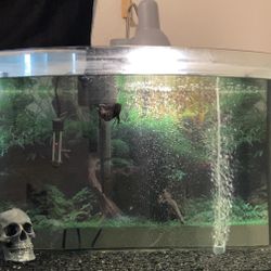 IF YOU HAVE FISH TANKS YOU DON’T WANT DM ME!!!!