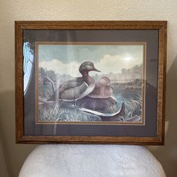 Vintage A.J. Rudisill Duck Print – Green Winged Teal Waterfowl – wood framed