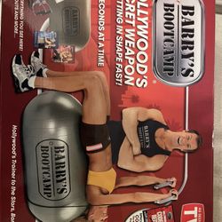 Exercise “pill” Ball