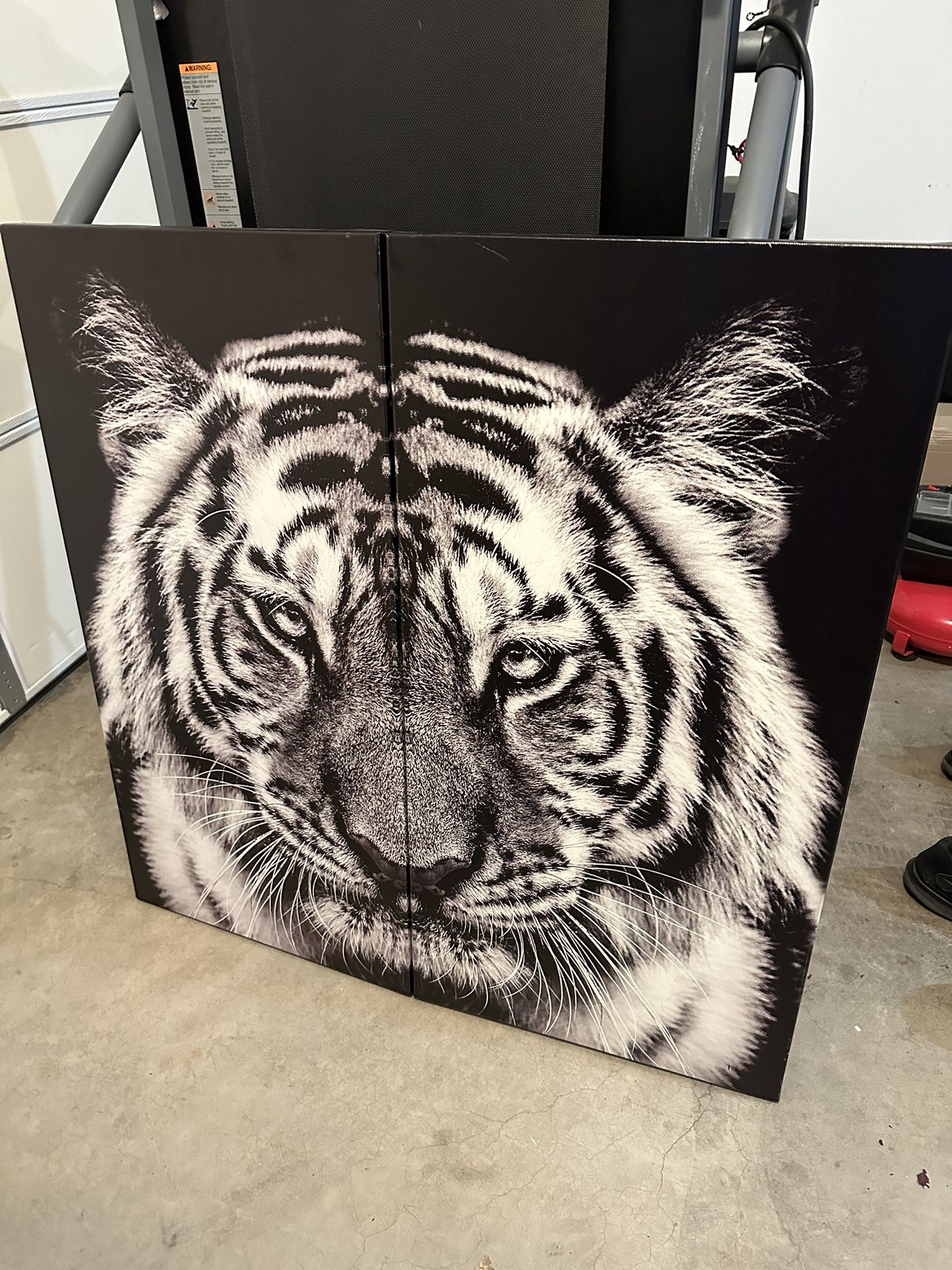 Huge Canvas Picture