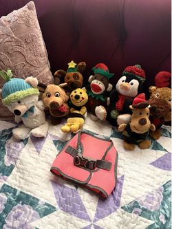 Pet accessories