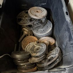 Weights