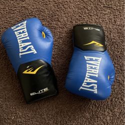 Everlast Elite Pro Style Training Gloves, Blue, 14 oz 