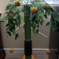 Cat Tree Play Activity 