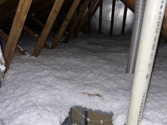 Blow In Attic Insulation