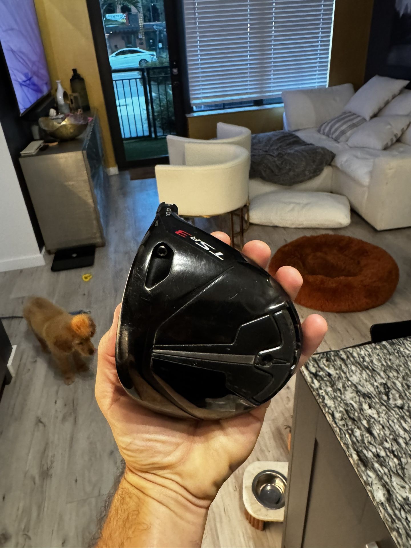 Titleist TSr3 Head - Used