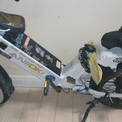 Anoiiki Ebike