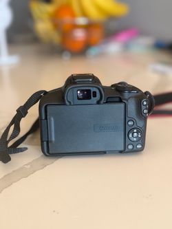 Canon Eos R50