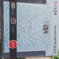 Glass Digital Scale