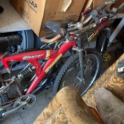 Mountain Bicycle