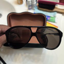 Gucci Glasses