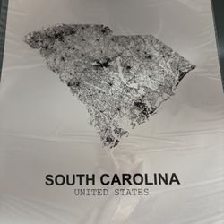South Carolina Frameless Print  13x19