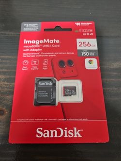 Sandisk 256gb