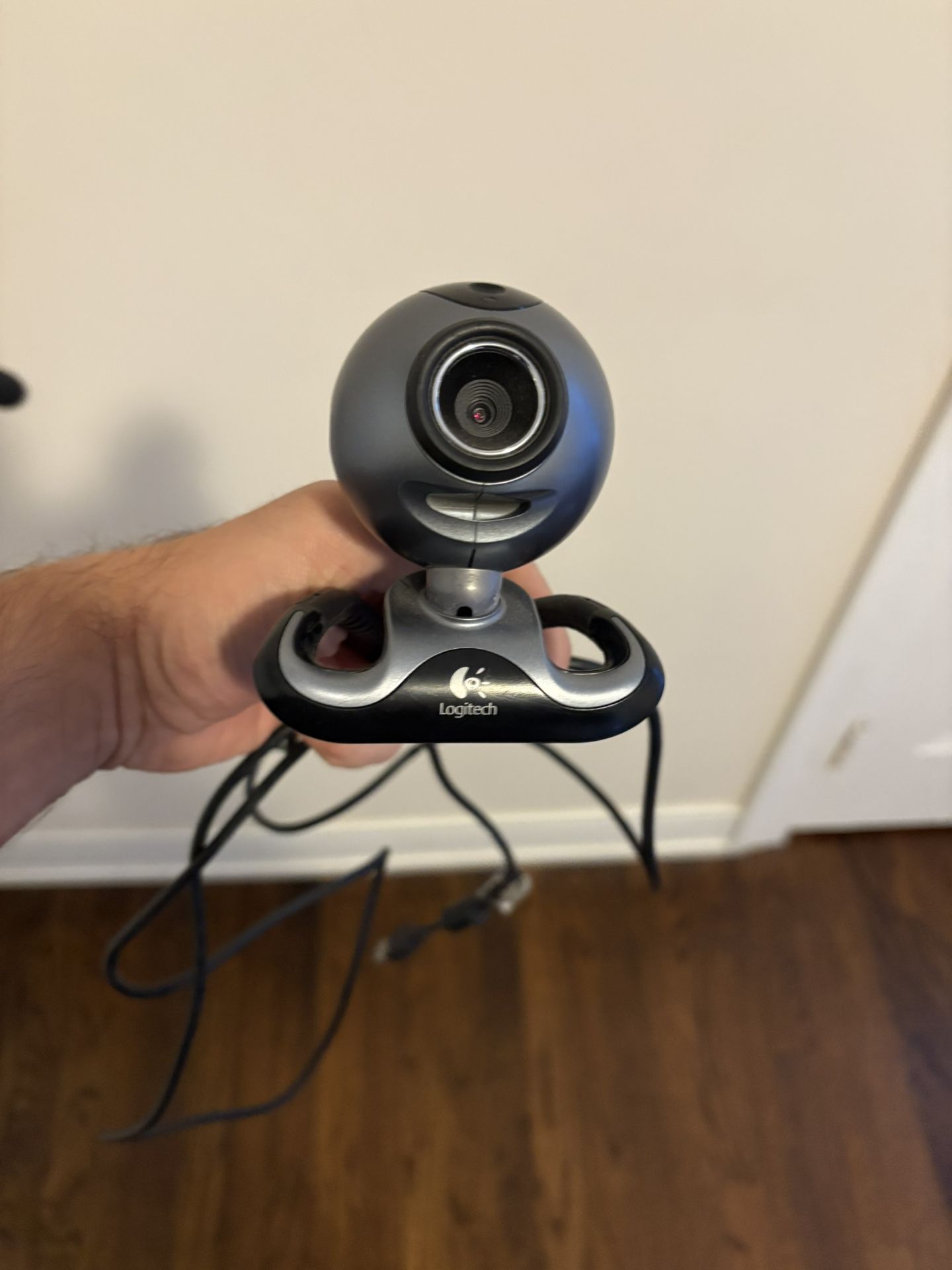 Logitech webcam – works great, USB connection.