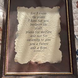 Jeremiah 29:11  picture