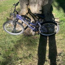 24” Mountain Bike 