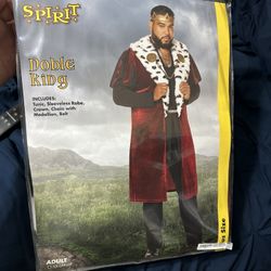 Noble King Costume 