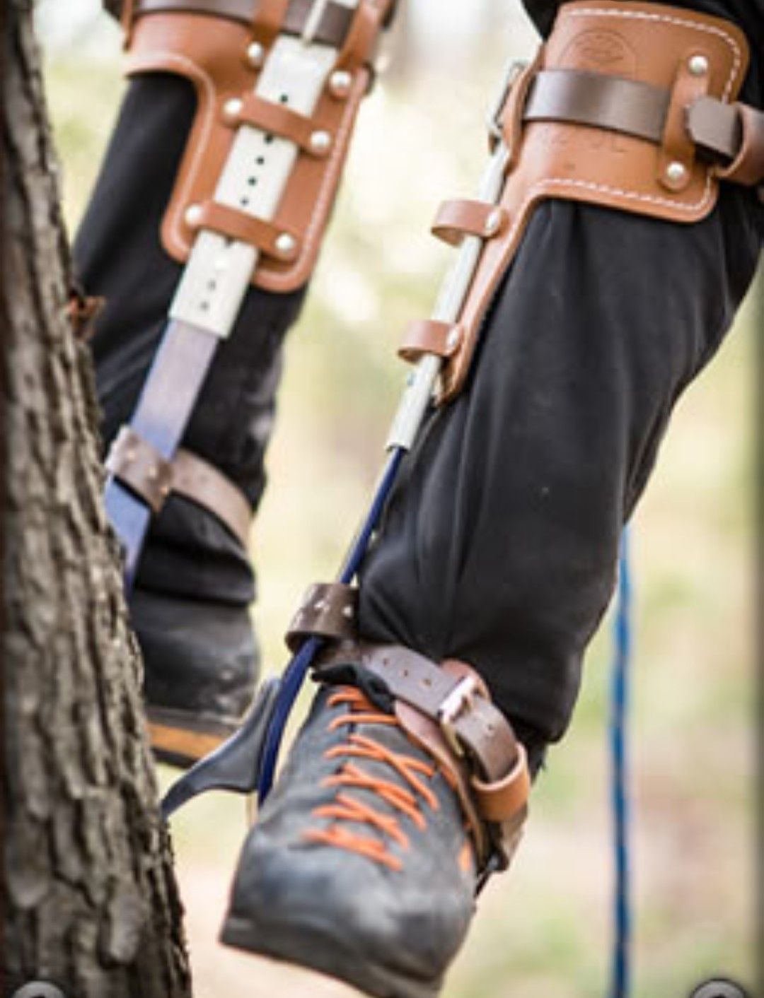 Tree Climbing Spikes/Gaffs