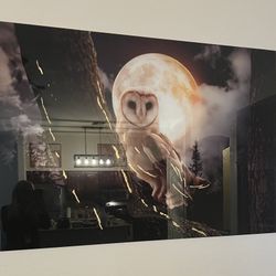 Beautiful Glass Owl Picture