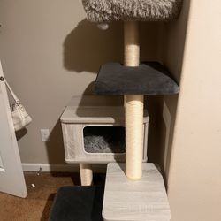 Cat Tree