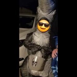 Inflatable Velociraptor Costume