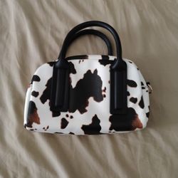 Nice Purse