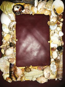 Seashell photo frames different shapes styles and kinds to choose from