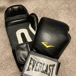 8oz Everlast Boxing Gloves
