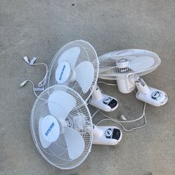 Fans